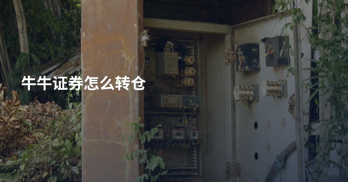牛牛证券怎么转仓
