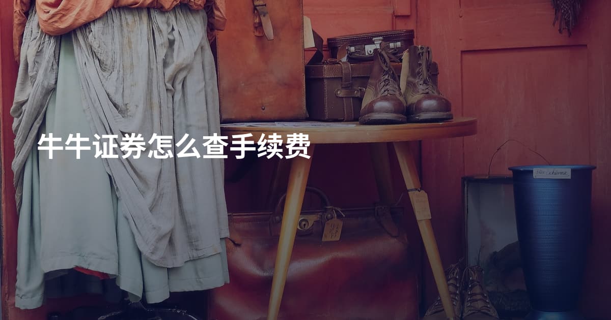 牛牛证券怎么查手续费