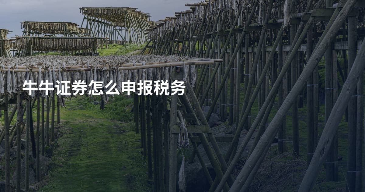 牛牛证券怎么申报税务