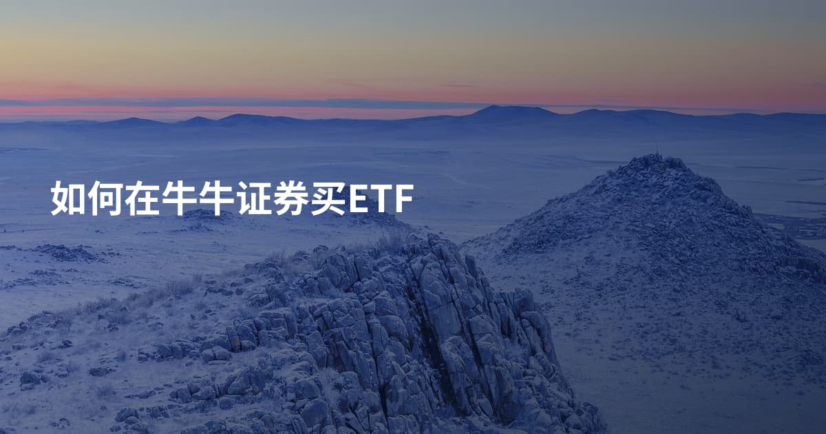 如何在牛牛证券买ETF