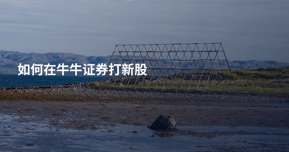 如何在牛牛证券打新股