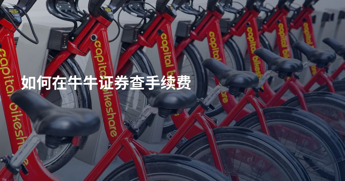 如何在牛牛证券查手续费