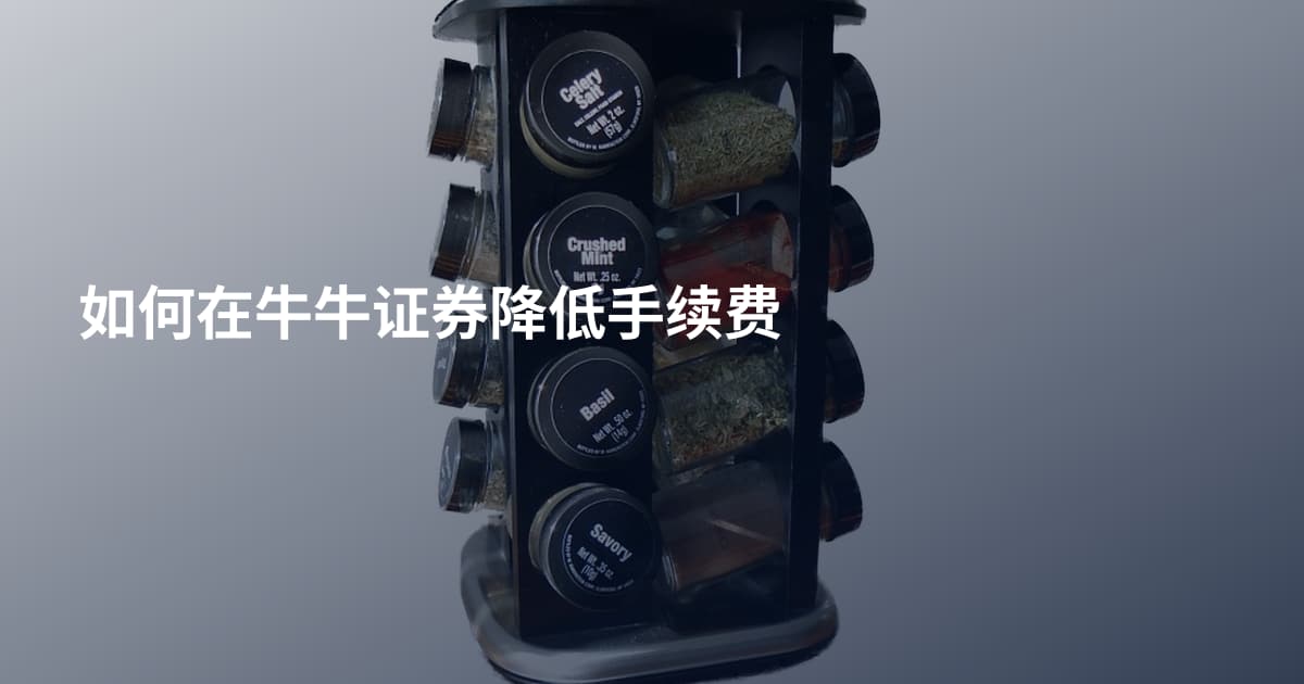 如何在牛牛证券降低手续费
