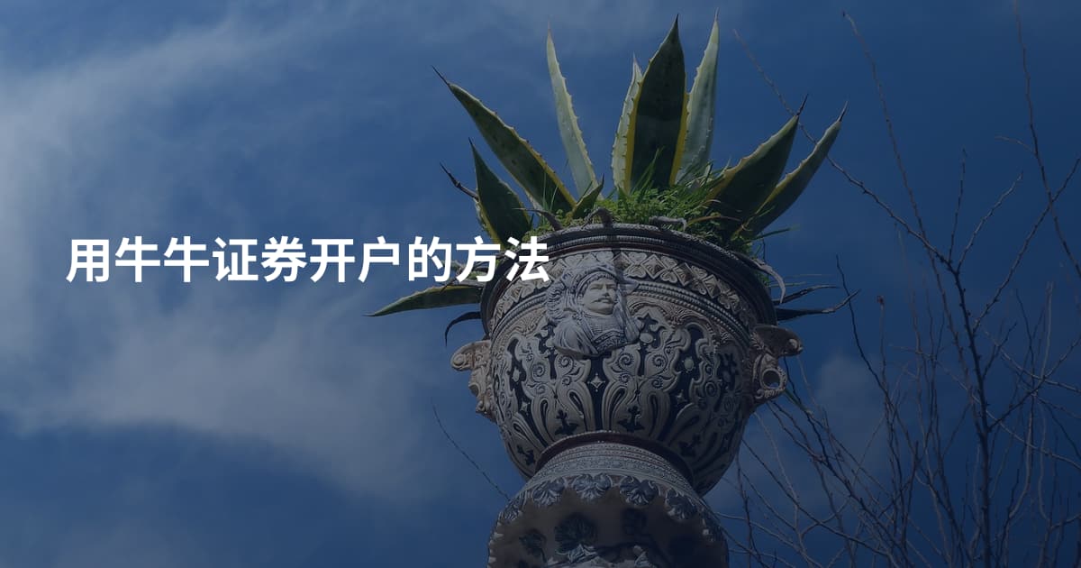 用牛牛证券开户的方法