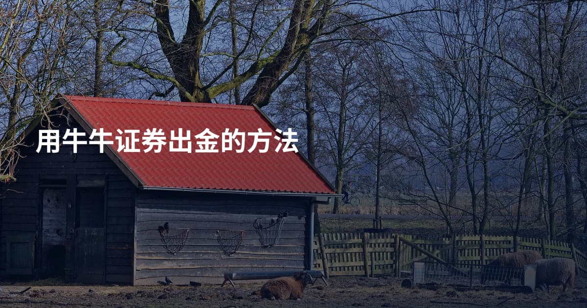用牛牛证券出金的方法