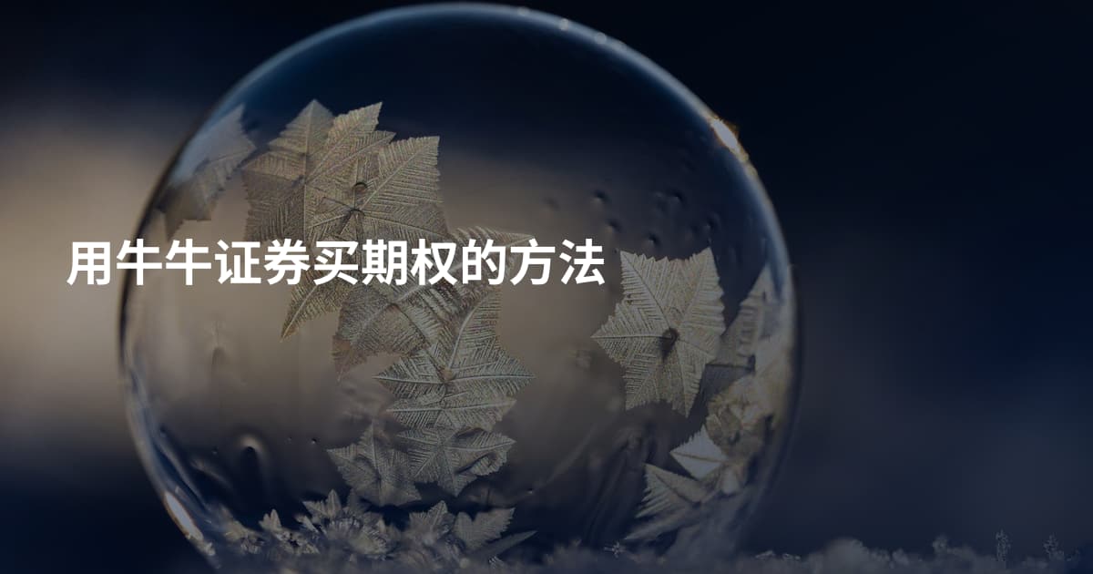 用牛牛证券买期权的方法