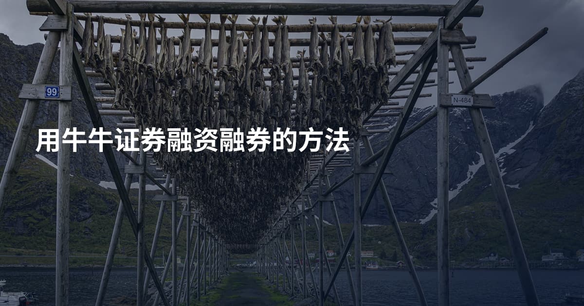 用牛牛证券融资融券的方法