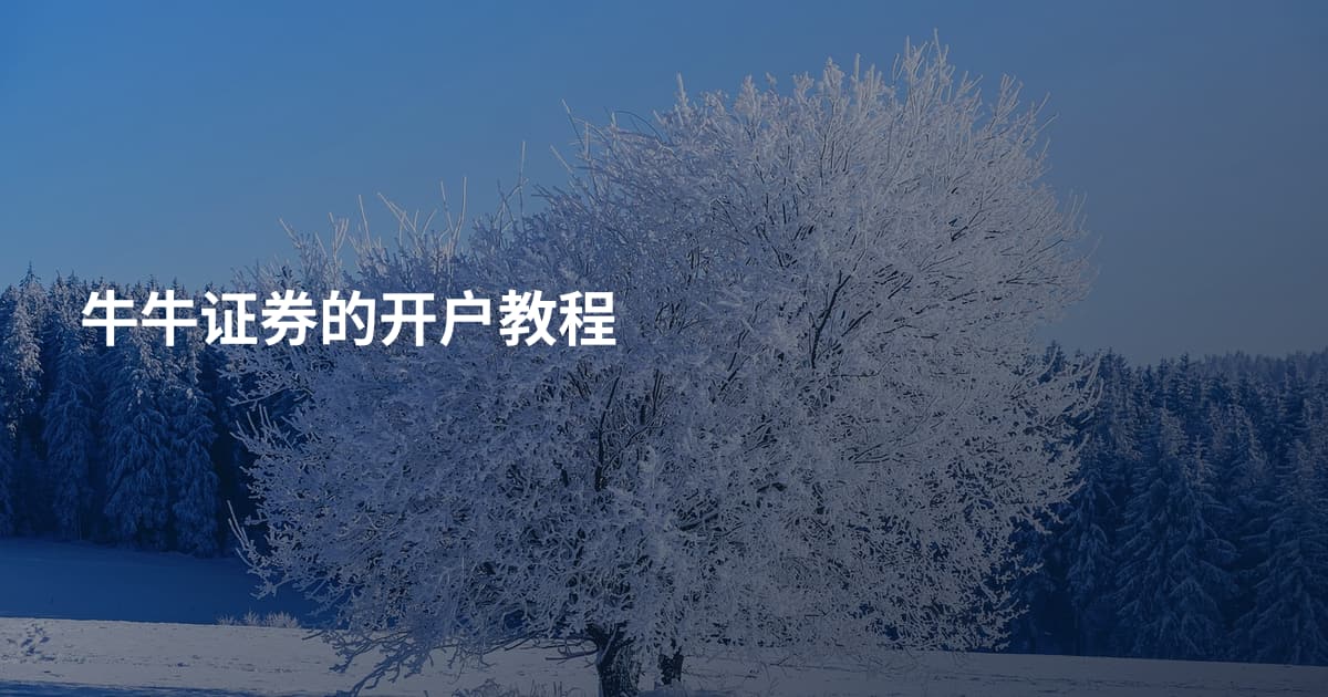 牛牛证券的开户教程