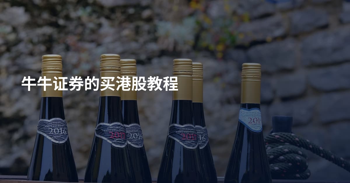 牛牛证券的买港股教程