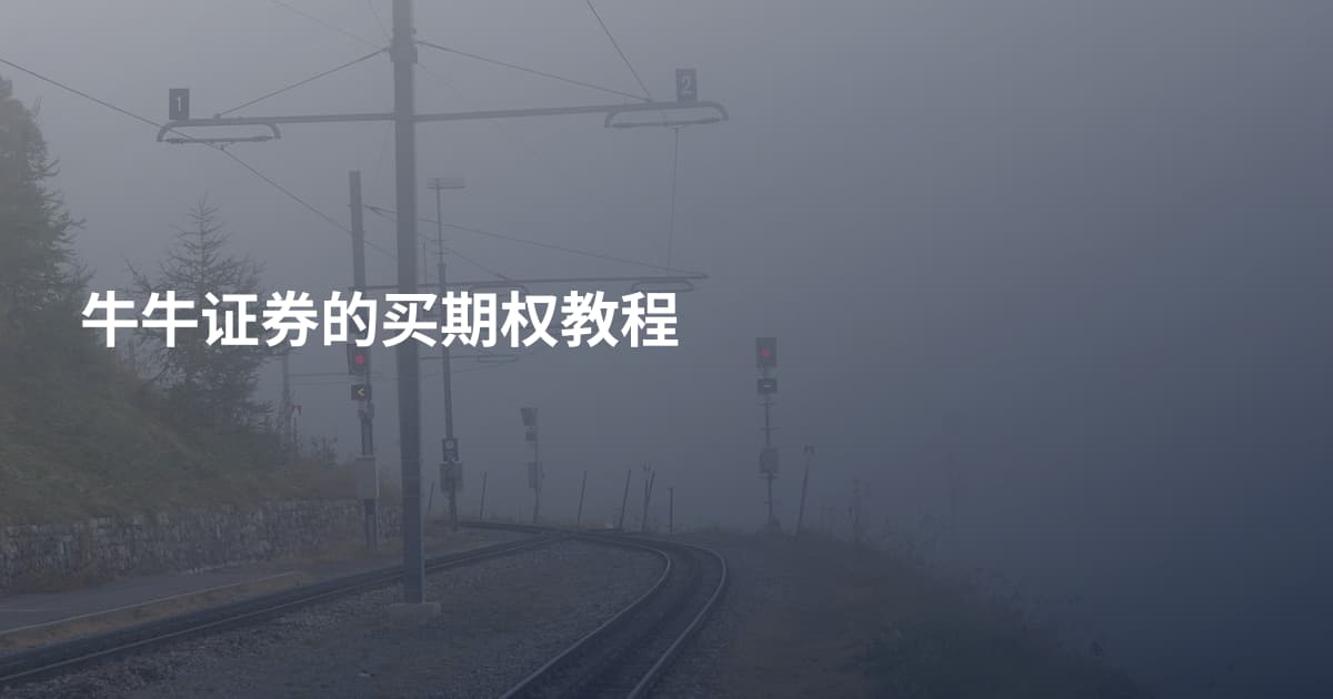 牛牛证券的买期权教程