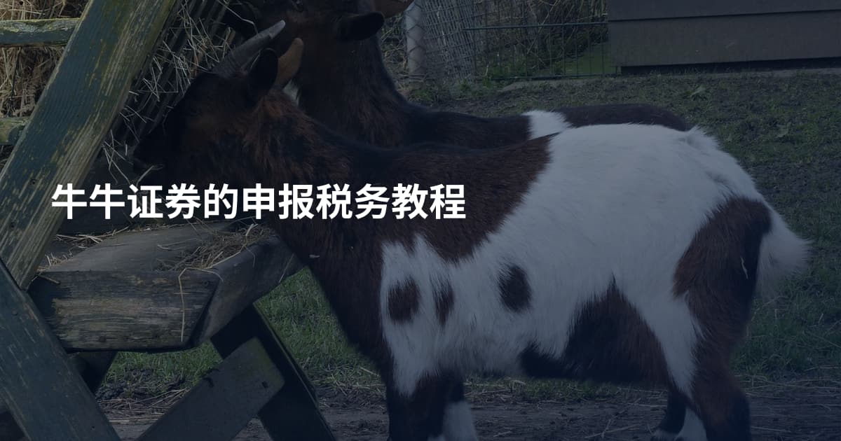牛牛证券的申报税务教程