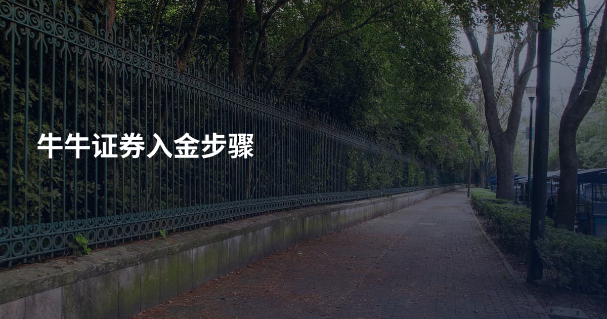 牛牛证券入金步骤
