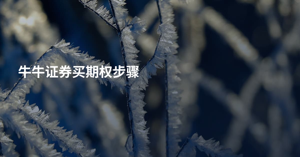 牛牛证券买期权步骤