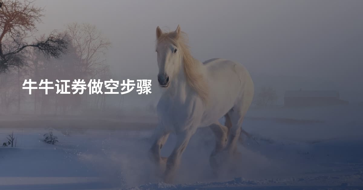 牛牛证券做空步骤