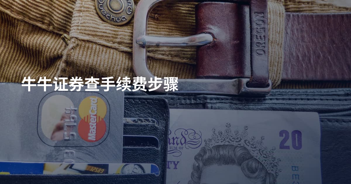 牛牛证券查手续费步骤