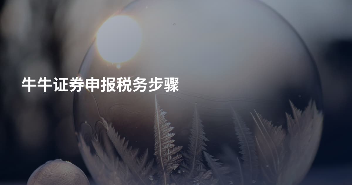 牛牛证券申报税务步骤