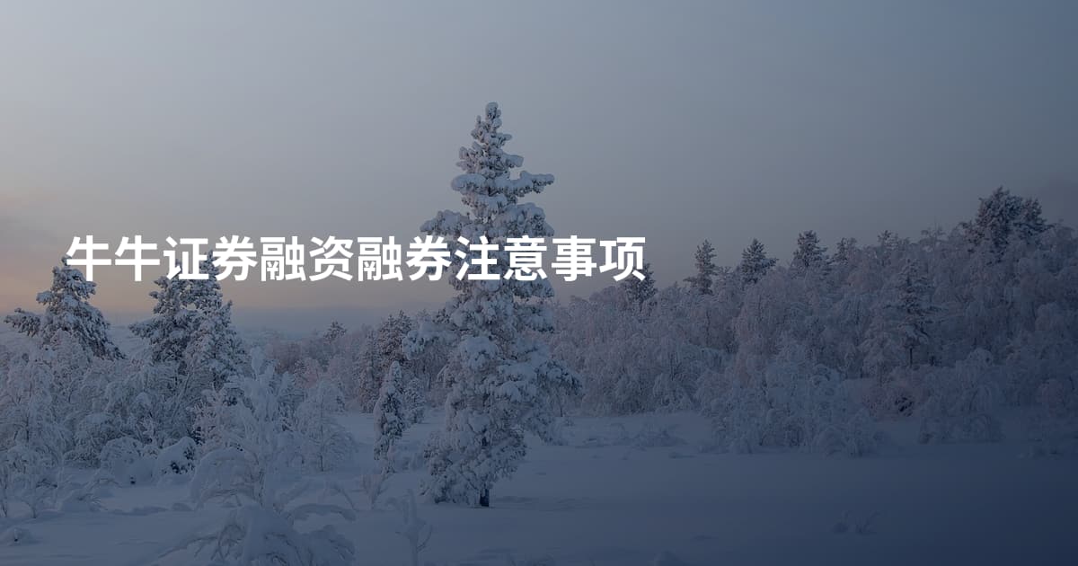 牛牛证券融资融券注意事项