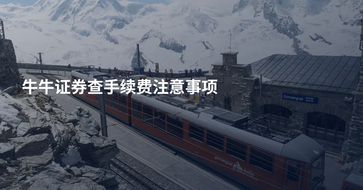 牛牛证券查手续费注意事项
