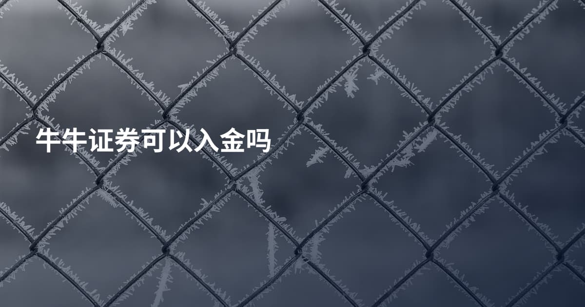 牛牛证券可以入金吗