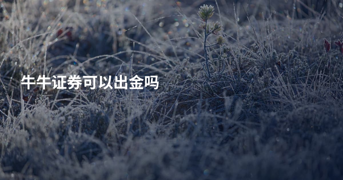 牛牛证券可以出金吗