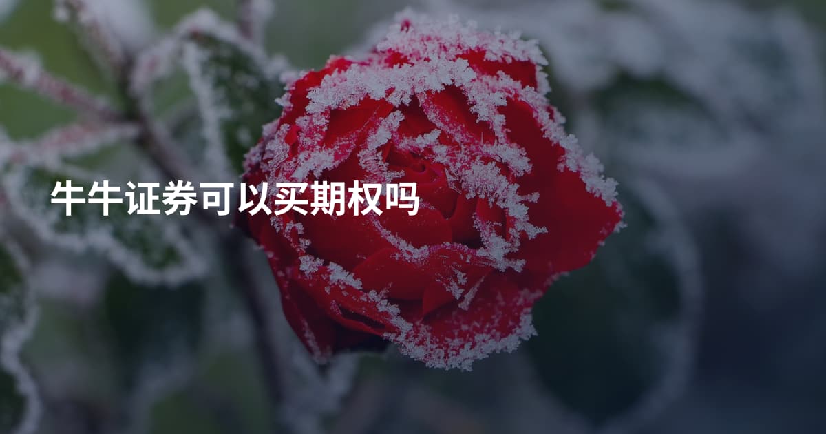 牛牛证券可以买期权吗