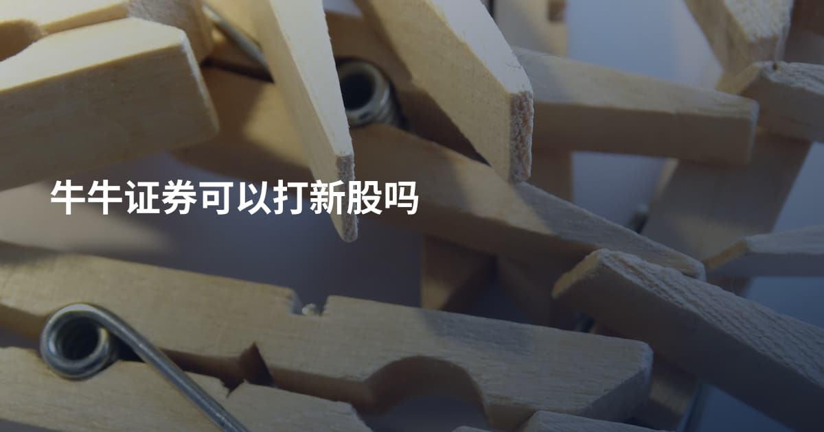 牛牛证券可以打新股吗