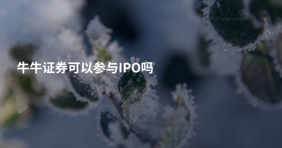 牛牛证券可以参与IPO吗