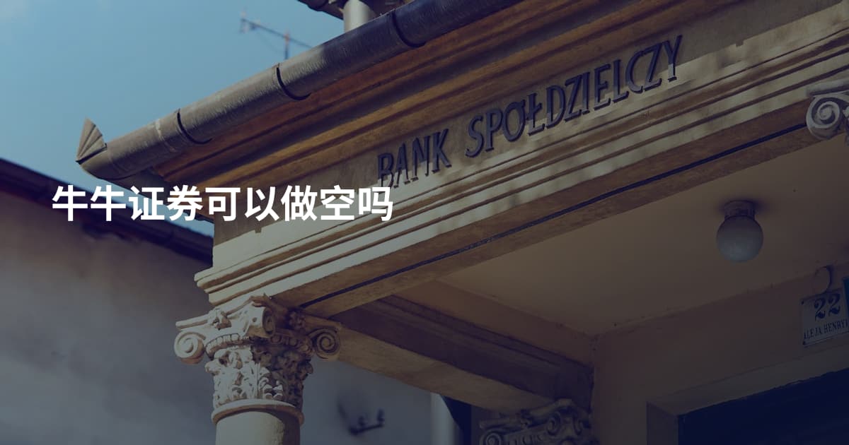 牛牛证券可以做空吗