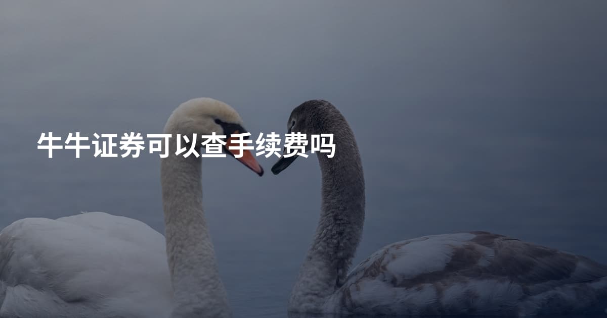 牛牛证券可以查手续费吗