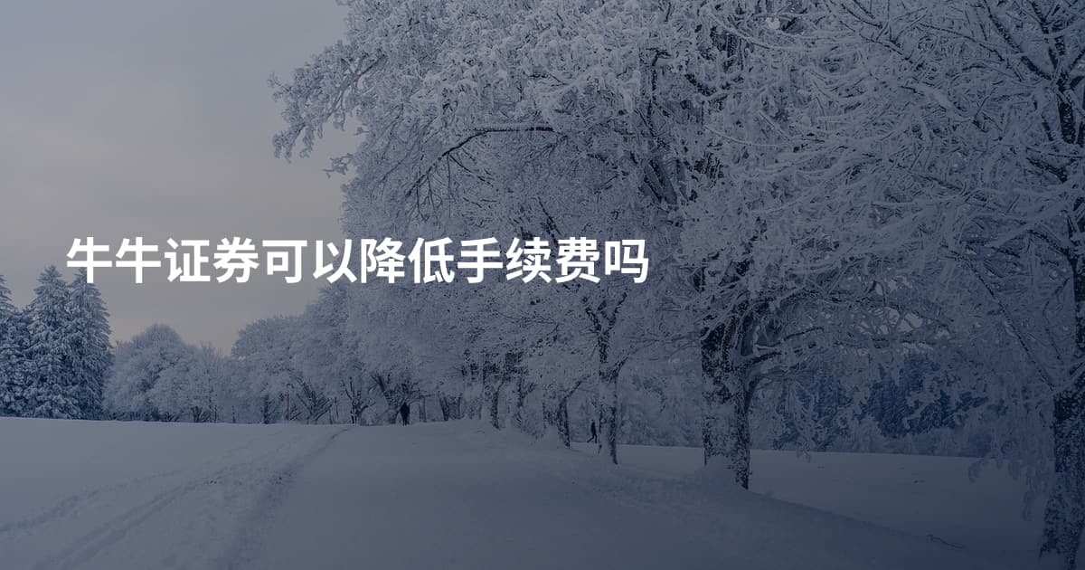 牛牛证券可以降低手续费吗