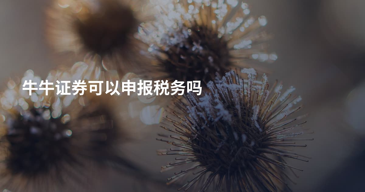 牛牛证券可以申报税务吗