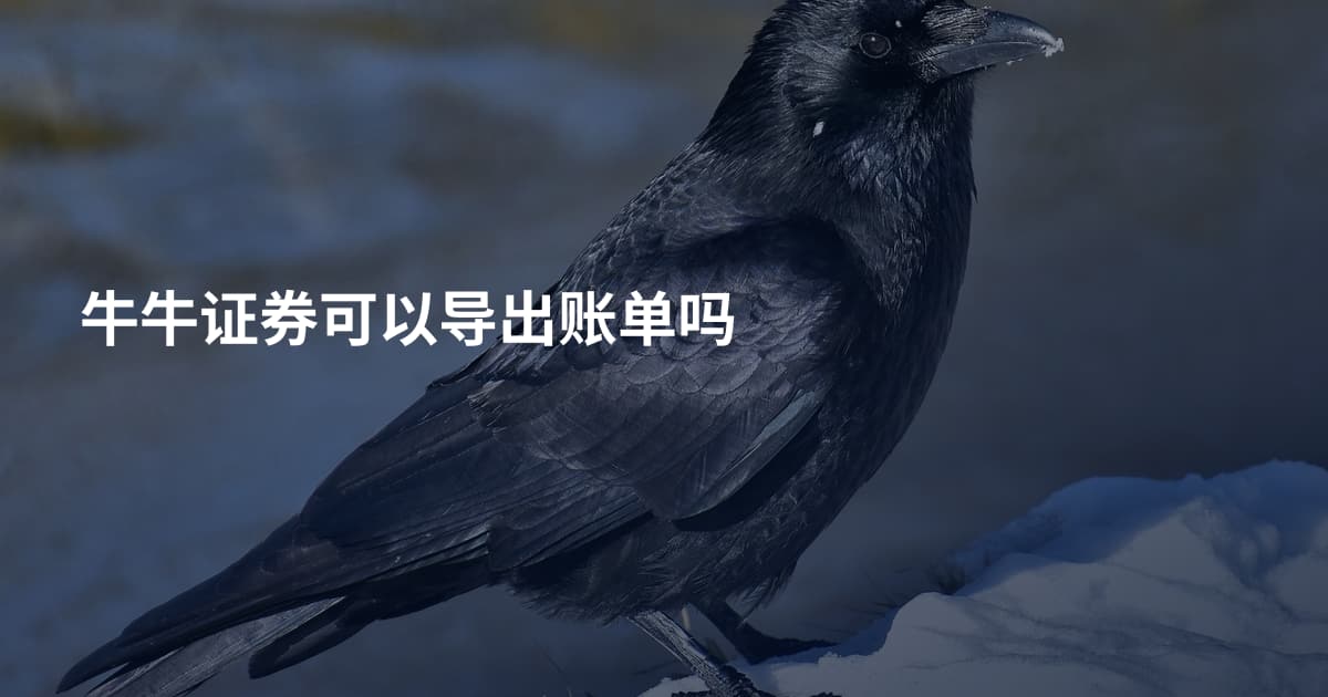 牛牛证券可以导出账单吗