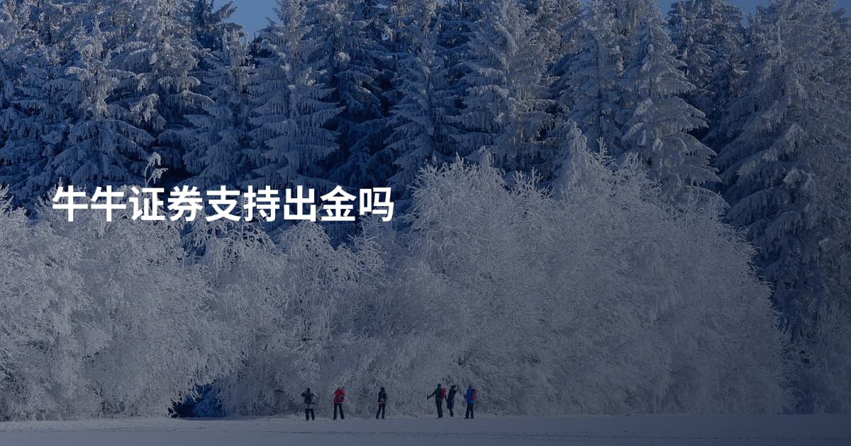 牛牛证券支持出金吗