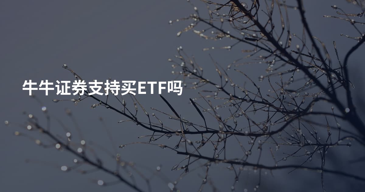 牛牛证券支持买ETF吗