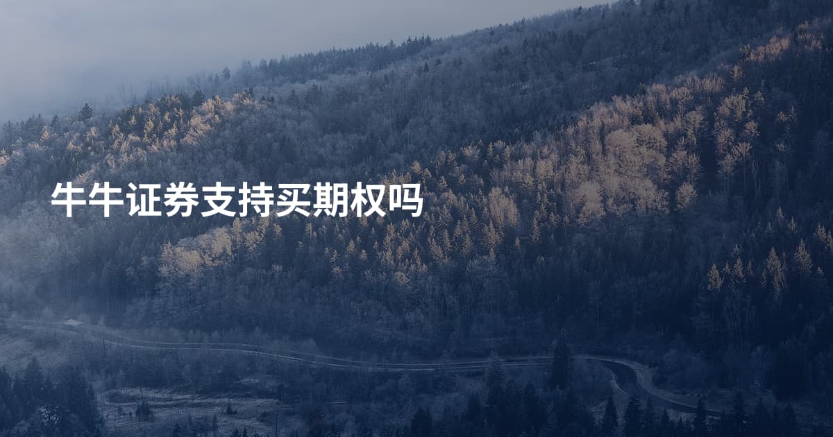 牛牛证券支持买期权吗