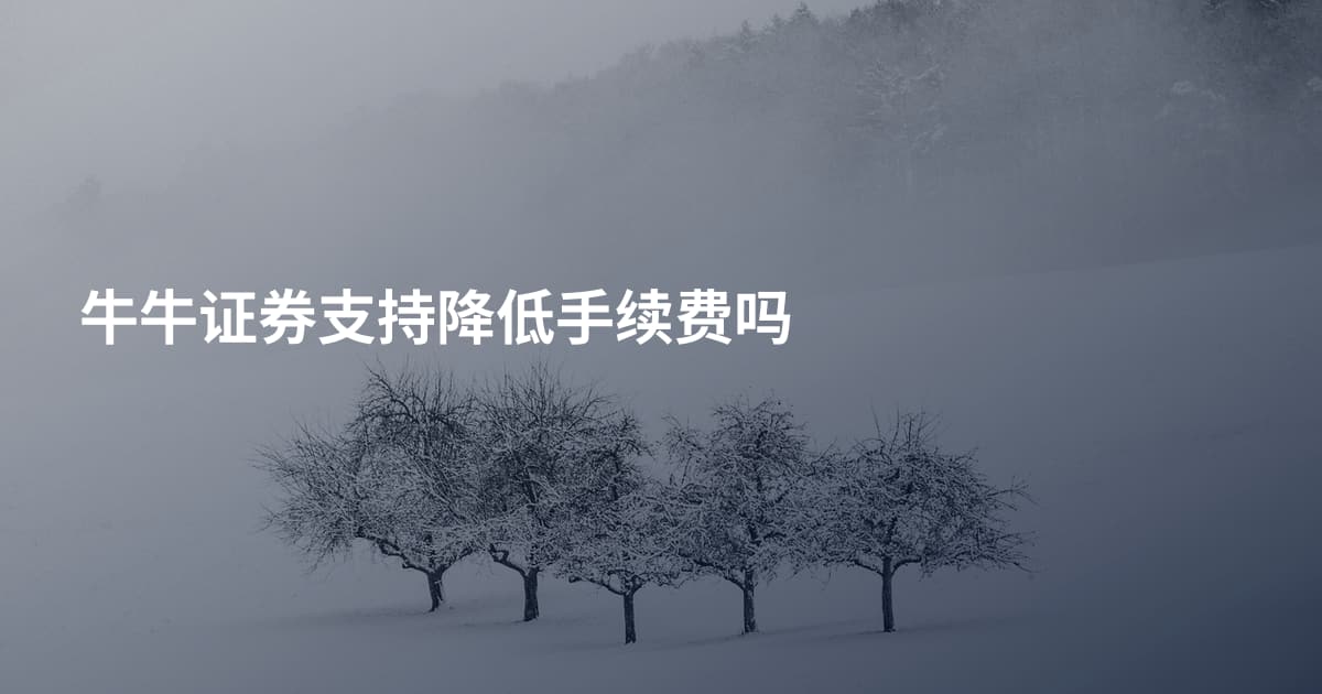 牛牛证券支持降低手续费吗