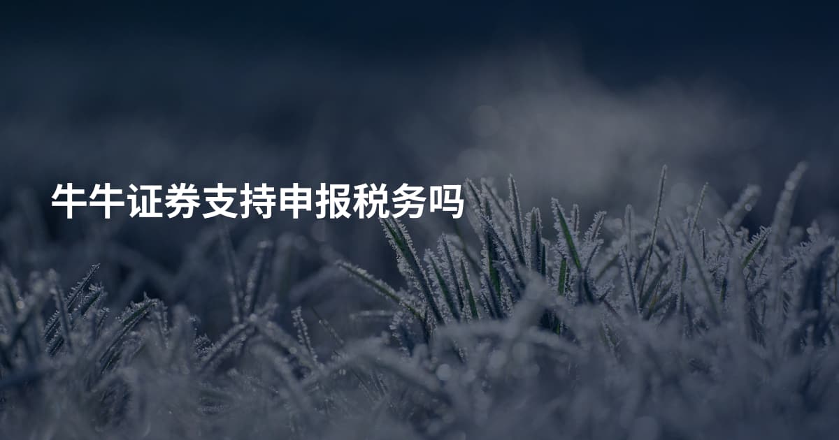 牛牛证券支持申报税务吗