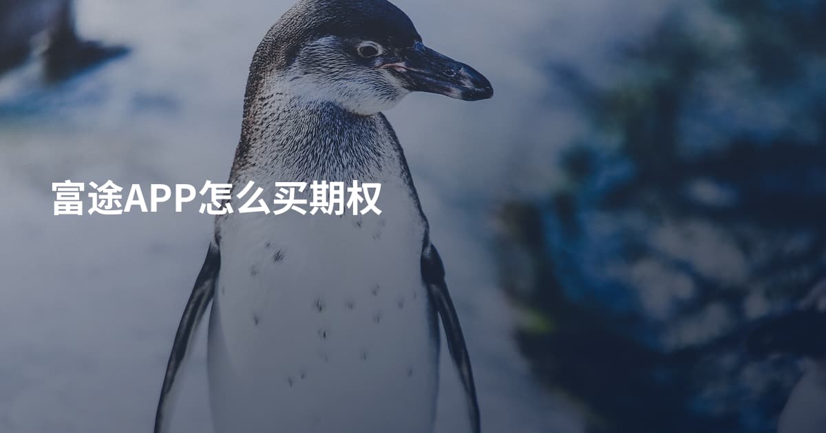 富途APP怎么买期权