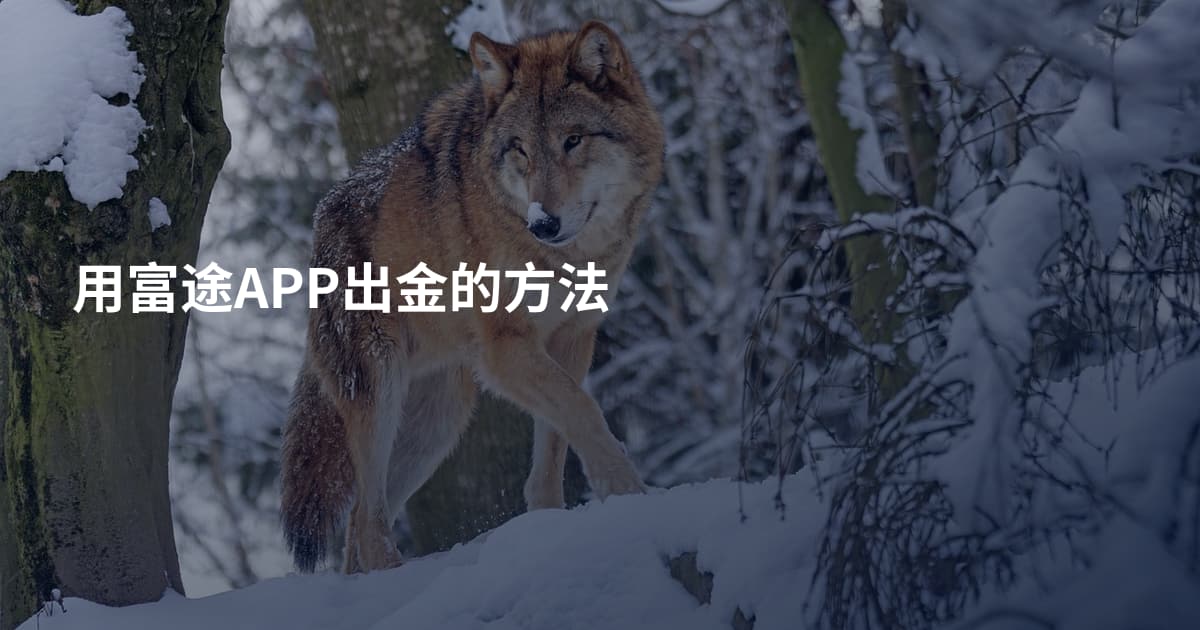 用富途APP出金的方法