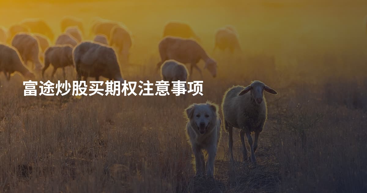 富途炒股买期权注意事项
