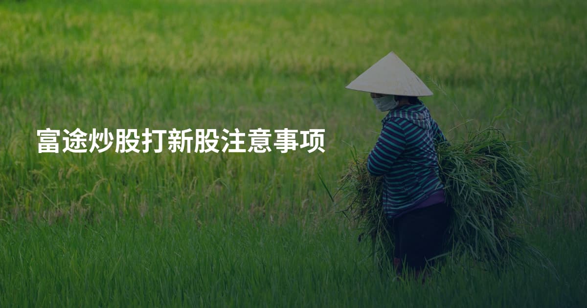 富途炒股打新股注意事项