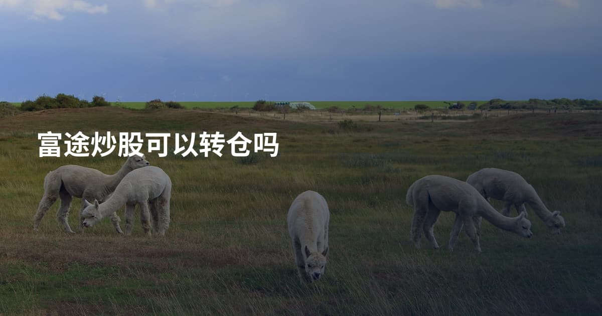 富途炒股可以转仓吗