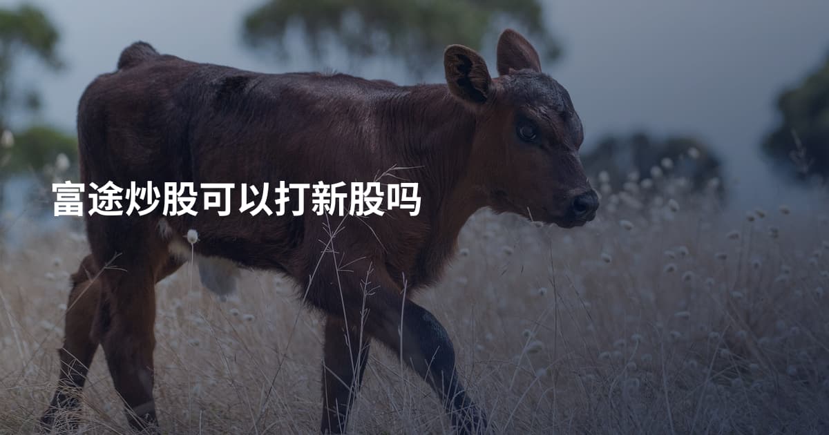 富途炒股可以打新股吗
