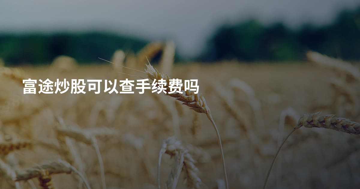 富途炒股可以查手续费吗
