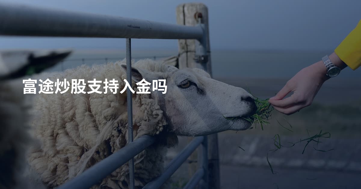 富途炒股支持入金吗