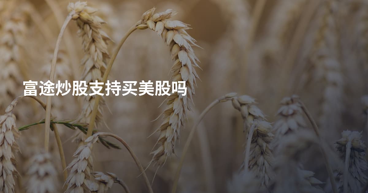 富途炒股支持买美股吗