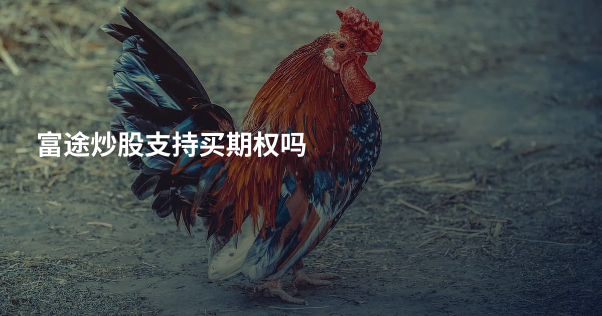 富途炒股支持买期权吗