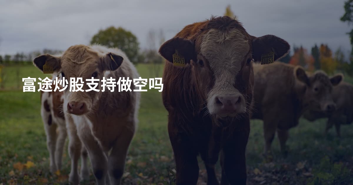 富途炒股支持做空吗