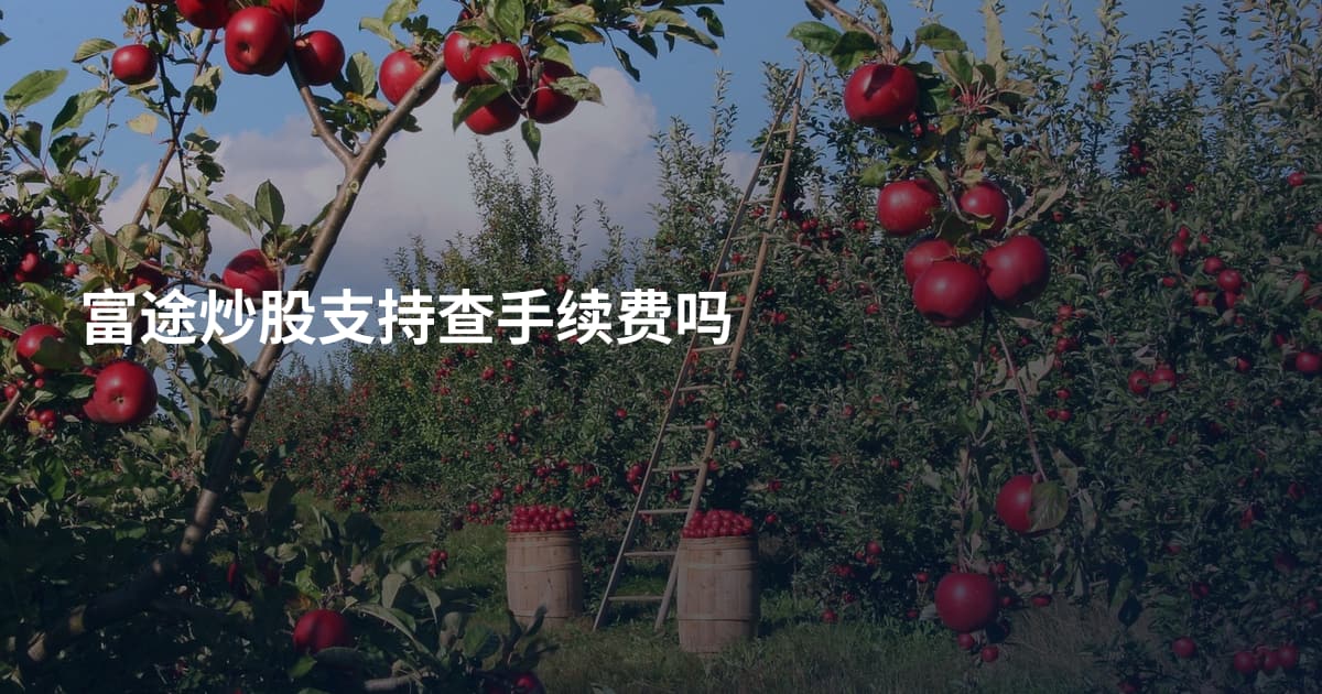 富途炒股支持查手续费吗