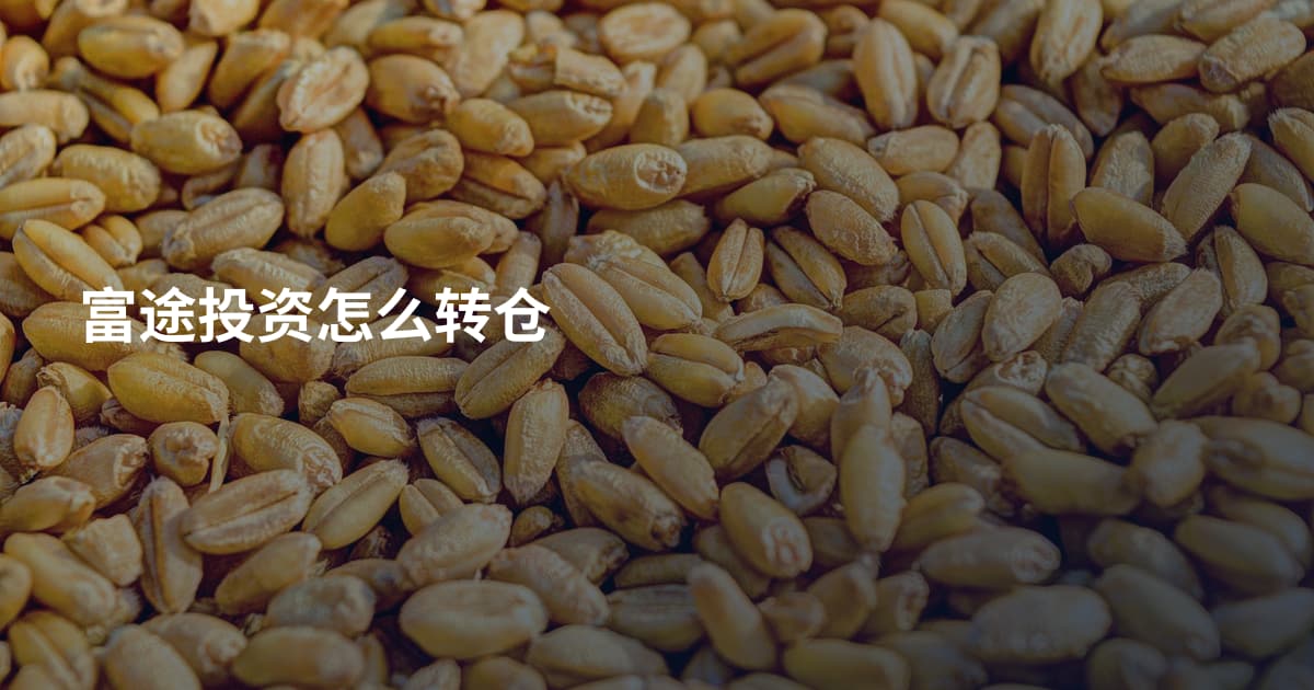 富途投资怎么转仓